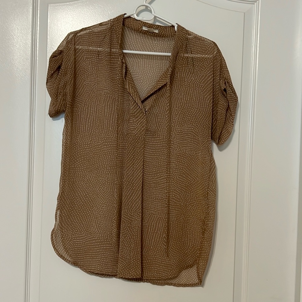 Pleione sheer top